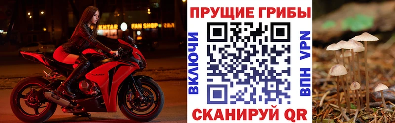 гидра как зайти  Обнинск  Галлюциногенные грибы Psilocybe  хочу наркоту 