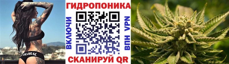 Конопля White Widow  Обнинск 